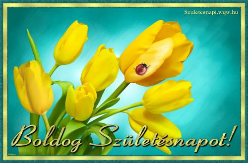 Srga tulipnok katicabogrral, szlinapi kp nknek